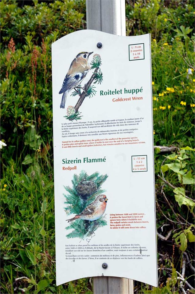 Sentier des oiseaux Châtel - L.Meyer - Châtel