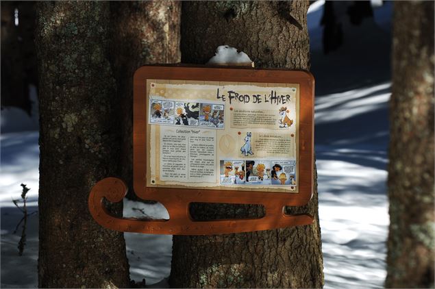 Sentier de l'Eterlou en version hivernale au pied de la piste de luges de Pré la Joux à Châtel - Châ