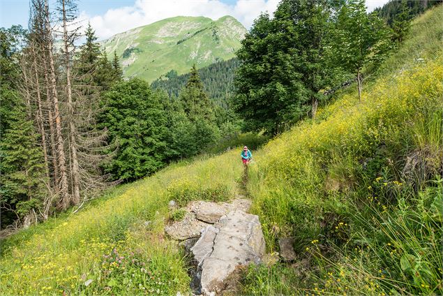 Juste avant l'arrivée aux Lindarets - Yvan Tisseyre / OT Vallée d'Aulps