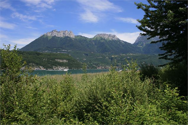 Sentier de découvertes