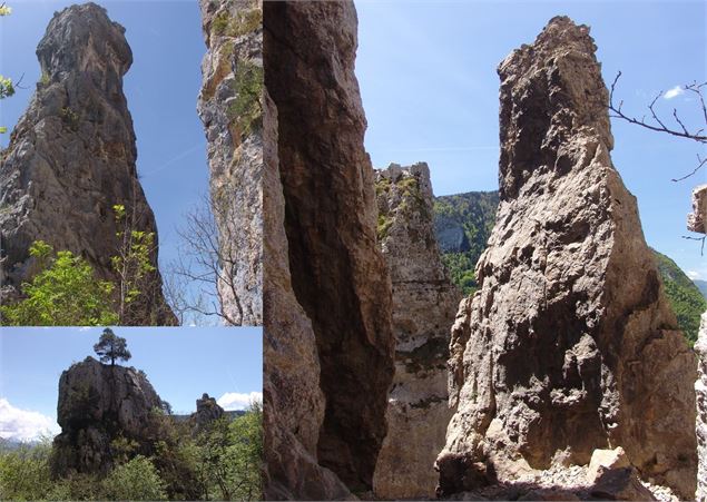 différentes vues