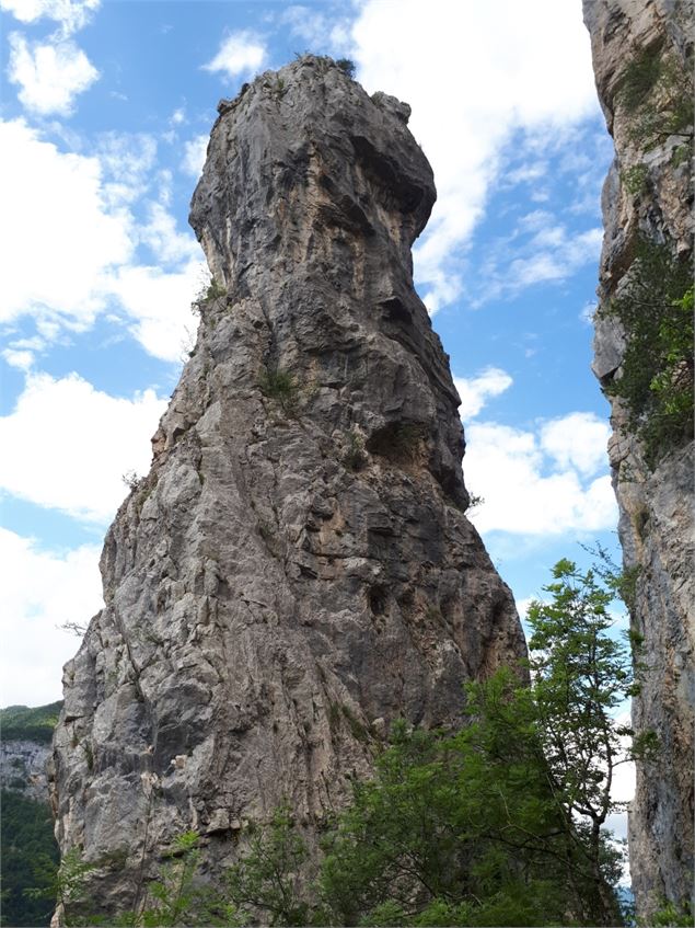 au pied des tours