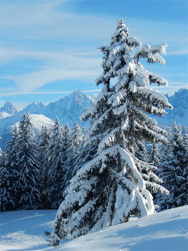 Paysage d'hiver - OT Combloux