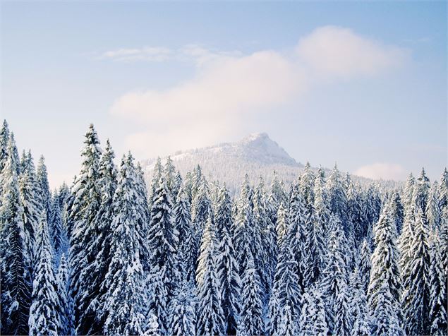 Plateau des glières - Faucigny Glières Tourisme