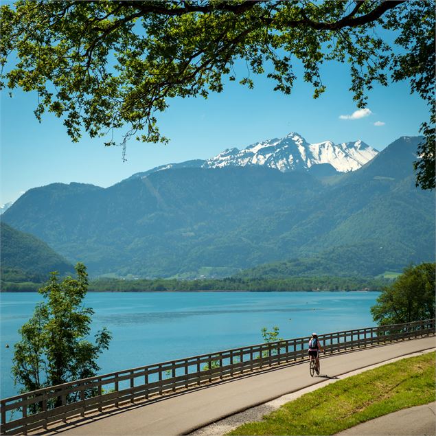 Balade à vélo sur les rives du lac d'Annecy - L'Agence Savoie Mont Blanc