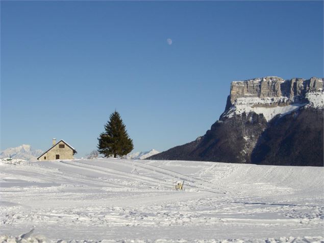 Col de la Cluse - Le Désert d'Entremont - Arpin Véronique
