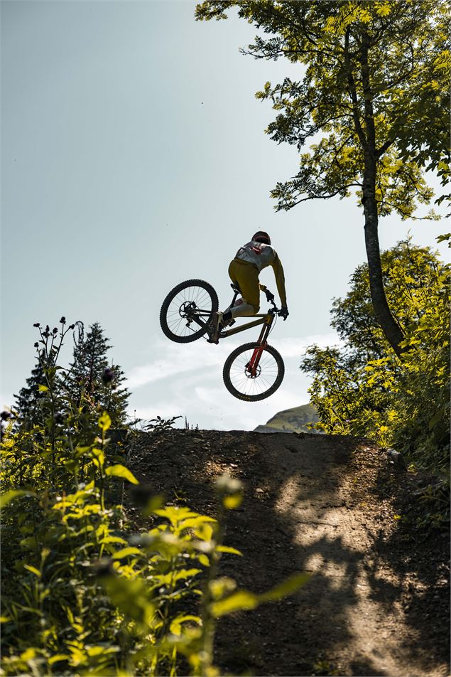 VTTiste faisant une figure dans le bike park de Châtel - L.Meyer-Châtel