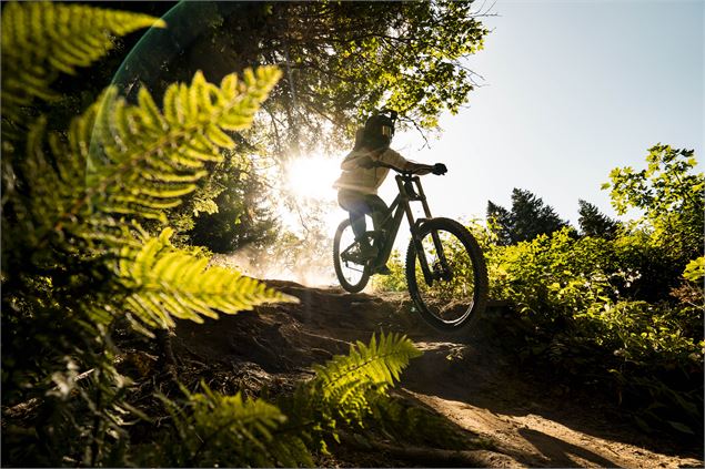 Piste VTT Coup de fouet du Bike Park de Châtel - L.Meyer - Châtel