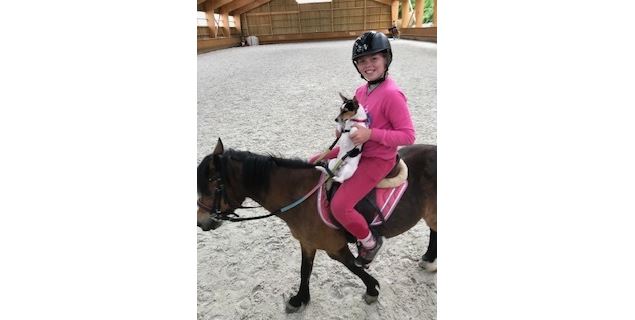 Poney Club de Sciez - Poney Club de Choisy