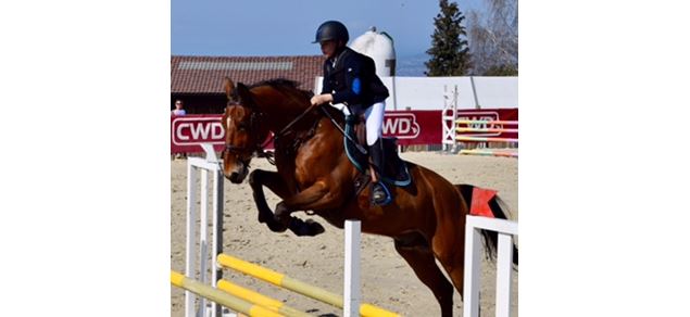 Poney Club de Sciez - Poney Club de Choisy