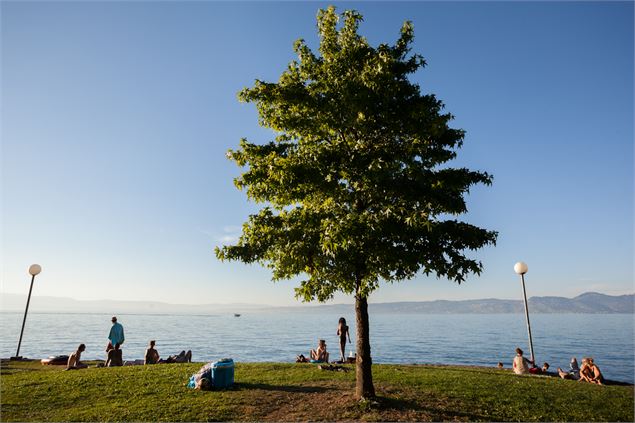 Plage de Vindry_Lugrin - CCPEVA