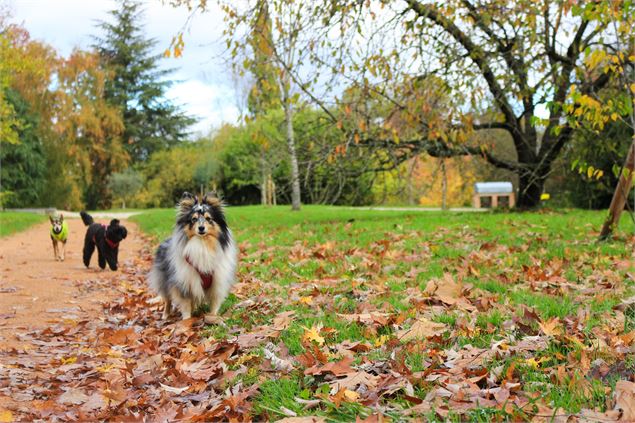 - Dombes Tourisme