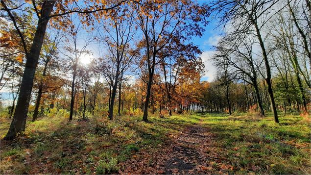 - Dombes Tourisme