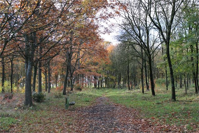 - Dombes Tourisme