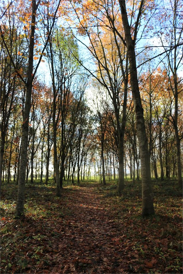 - Dombes Tourisme
