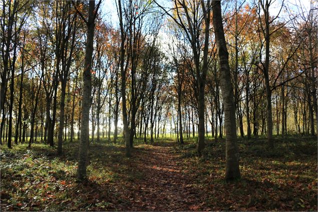 - Dombes Tourisme