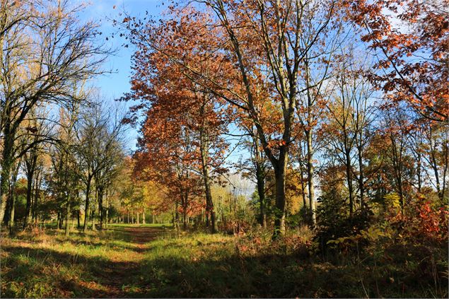 - Dombes Tourisme