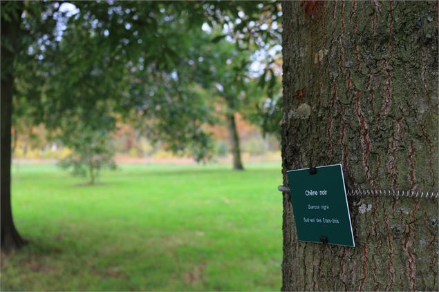 - Dombes Tourisme