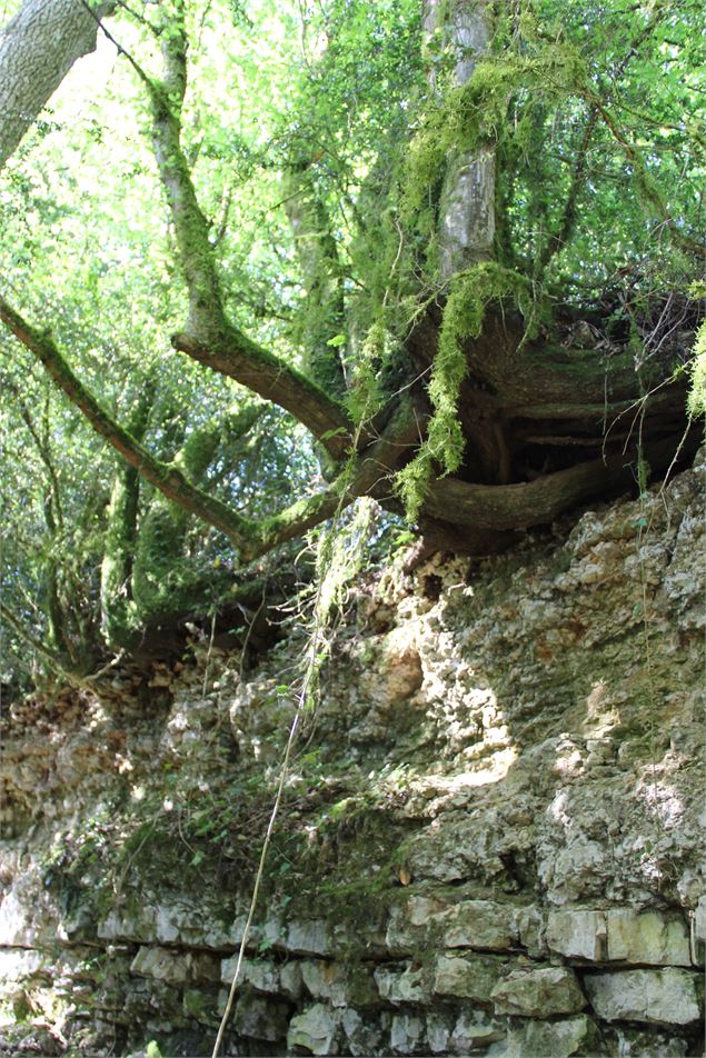 Source de Tapoira - Sébastien CALLAND