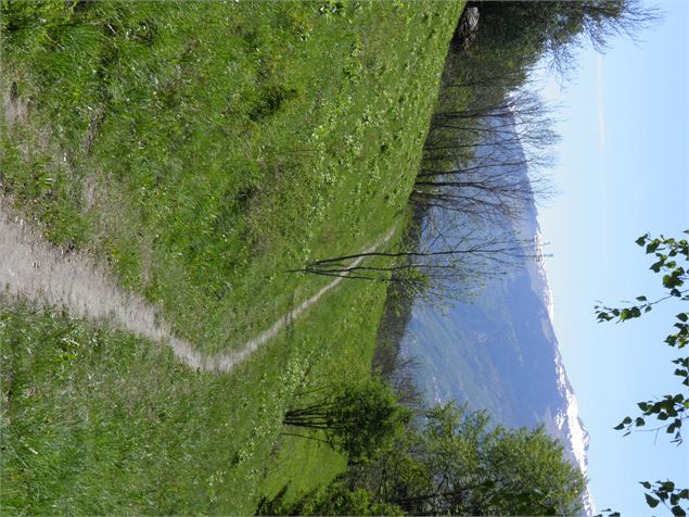Le chemin de la Pierra - OTMLP