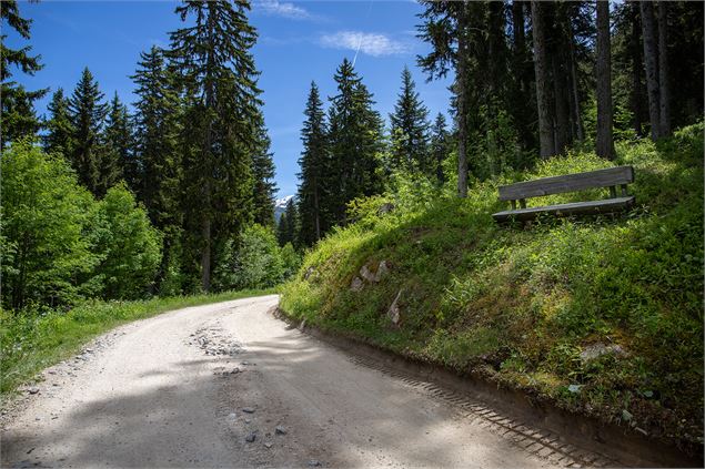 Chemin des Chevreuils - Courchevel Tourisme