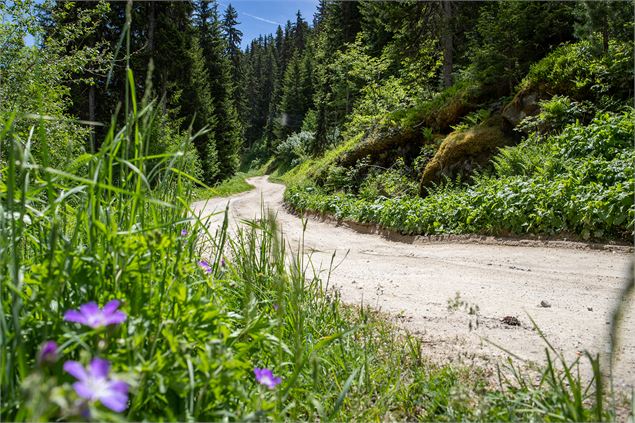 Chemin des Ecureuils - Le Bouc Blanc 2 - Courchevel Tourisme
