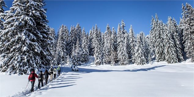 Plateau de Beauregard