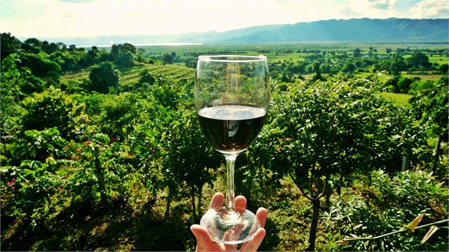 vins du Bugey - Marilou Perino
