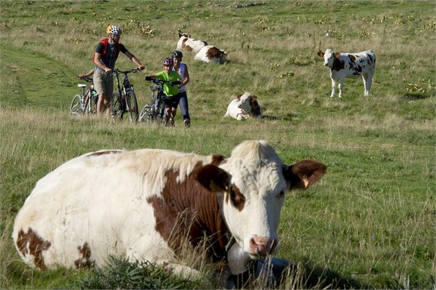 rando VTT - Michel_JOLY__BFC_Tourisme-BFC