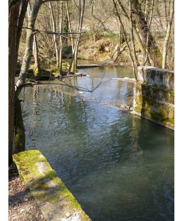 Rivière Le Cottey, dagneux - 3CM