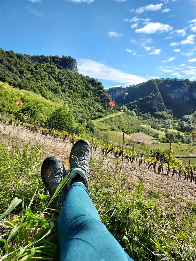 Pause dans le vignoble - CVA