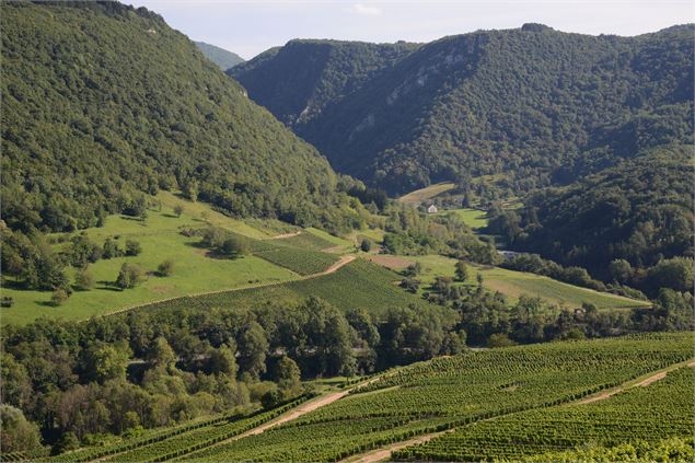 Vignoble Cerdon - OTRAPC (TS)