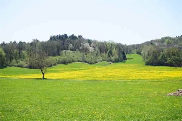 Saint Alban - OTRAPC (TS)