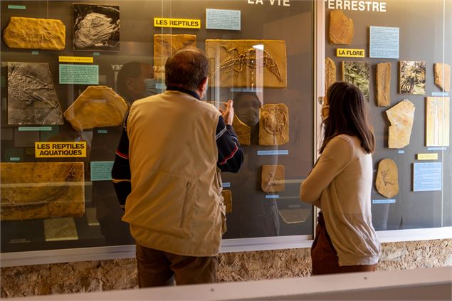 Musée paléoécologique de Cerin - Marilou Perino