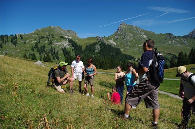 Le col et les alpages - Praz de Lys Sommand Tourisme