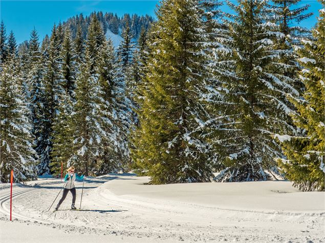 Fondeur en forêt à Praz de Lys Sommand - Gilles Piel