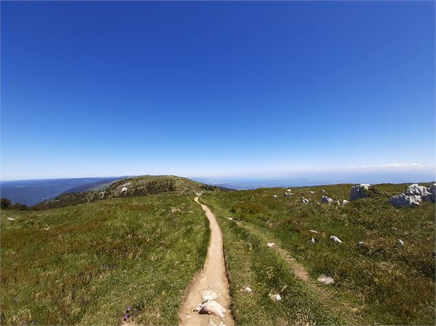 Crêtes de la Haute Chaîne du Jura - ©jthevenard