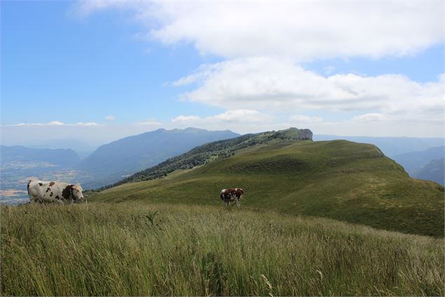Crêt de la Haute Chaîne du Jura - ©jthevenard