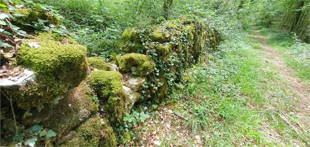 Réserve Naturelle de la grotte de Hautecourt_Hautecourt-Romanèche - GBA