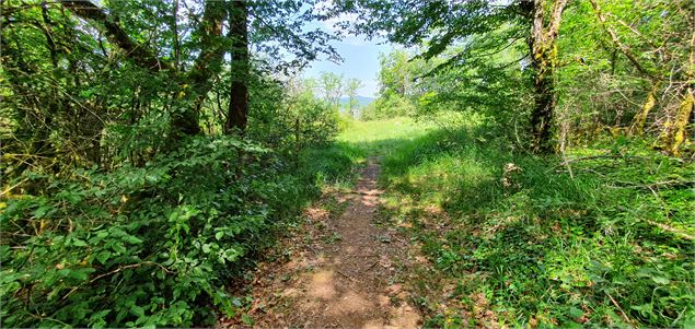 Réserve Naturelle de la grotte de Hautecourt_Hautecourt-Romanèche - GBA
