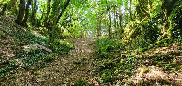 Réserve Naturelle de la grotte de Hautecourt_Hautecourt-Romanèche - GBA