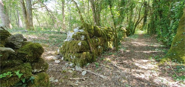 Réserve Naturelle de la grotte de Hautecourt_Hautecourt-Romanèche - GBA