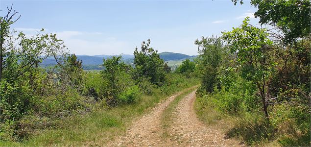 Réserve Naturelle de la grotte de Hautecourt_Hautecourt-Romanèche - GBA