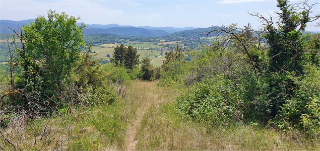 Réserve Naturelle de la grotte de Hautecourt_Hautecourt-Romanèche - GBA