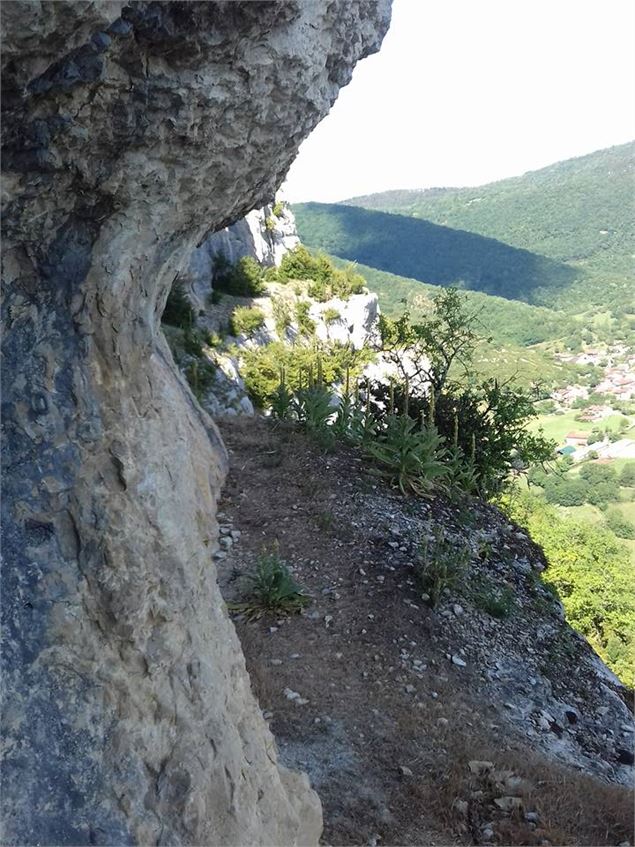 Rocher du Jarbonnet - Prairie de la rivière d'Ain_Cize - Pierre Jayet