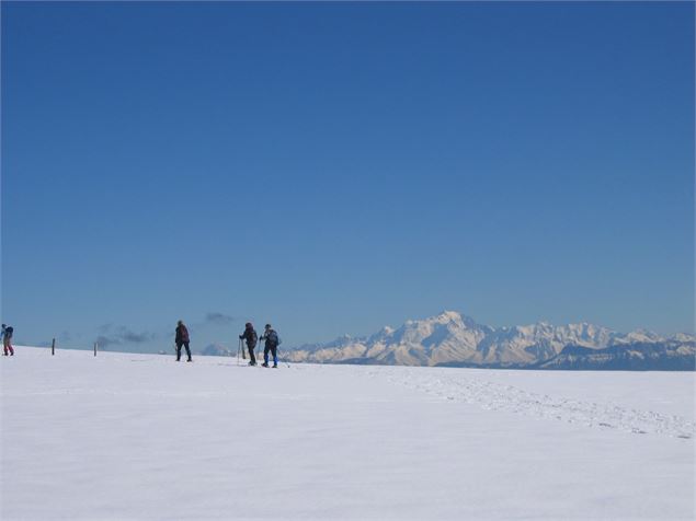 ski - Jacques DOHEN