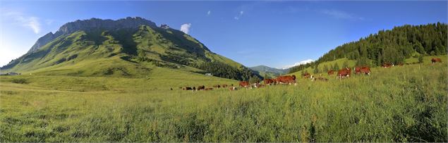 Col des Aravis - © Savoie Mont Blanc - Anglade