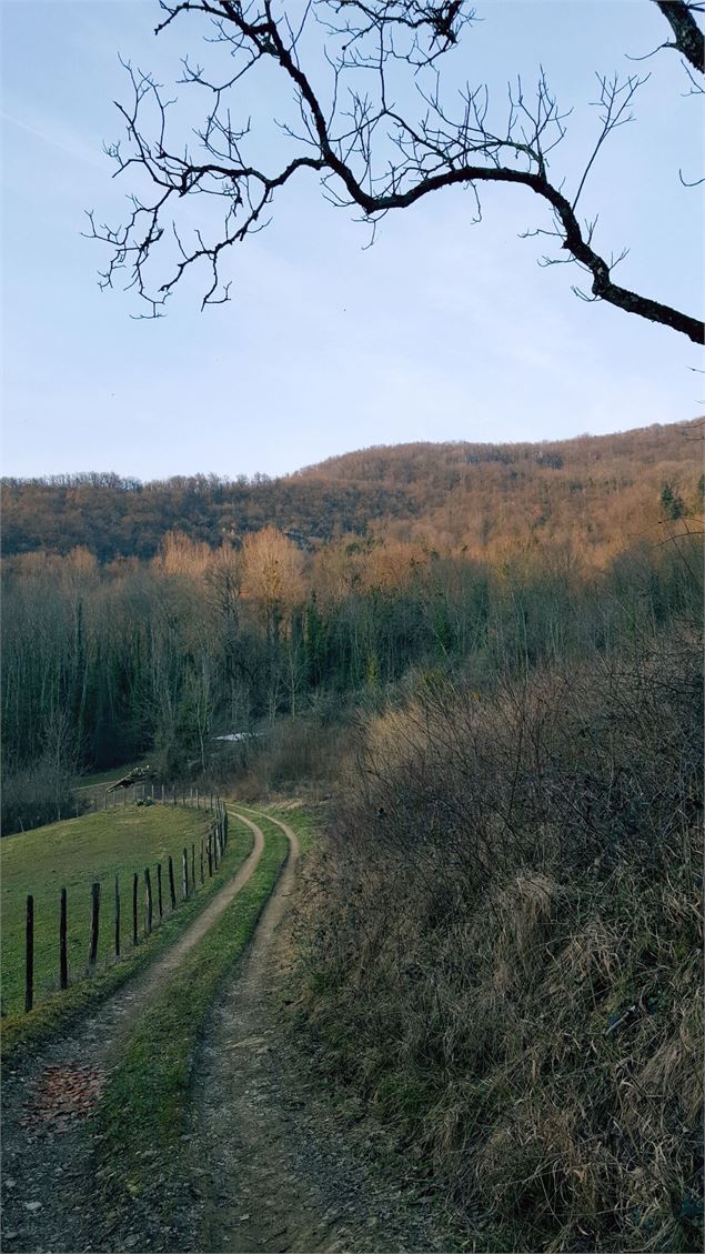 Sentier du Buizin - V.Buguet