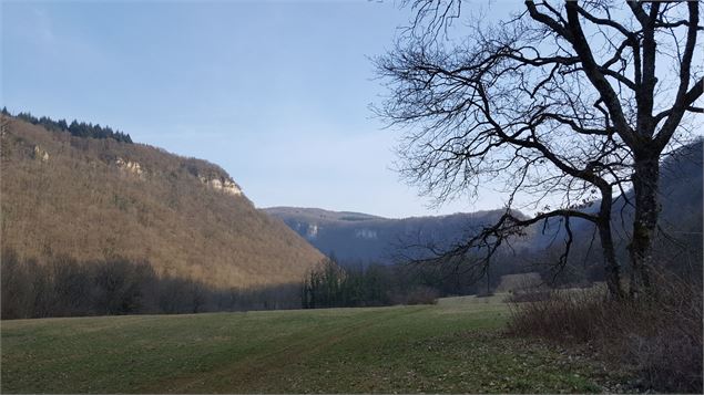 Sentier du Buizin - V.Buguet