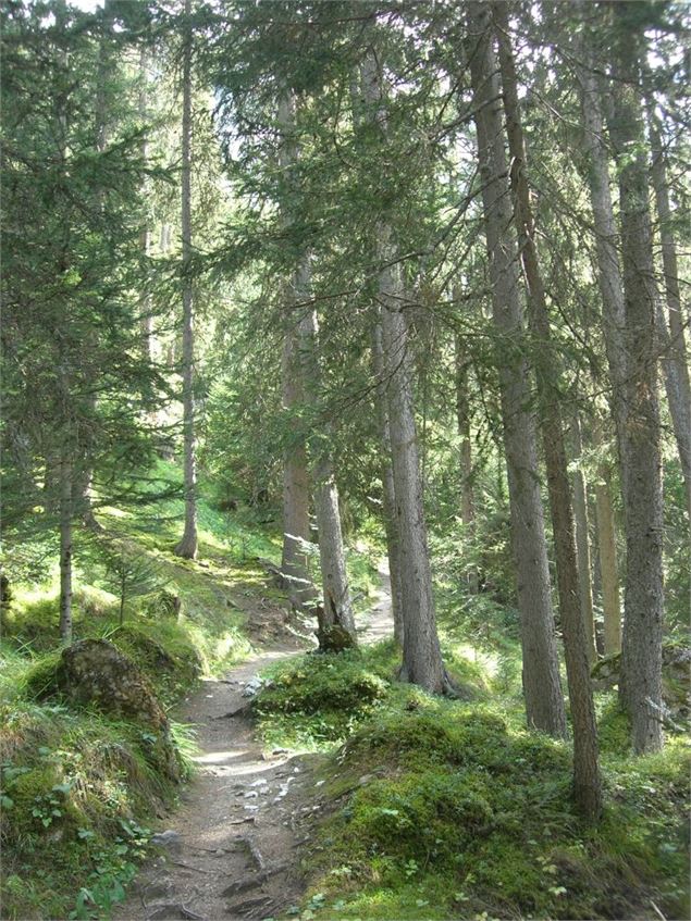 - Courchevel Tourisme